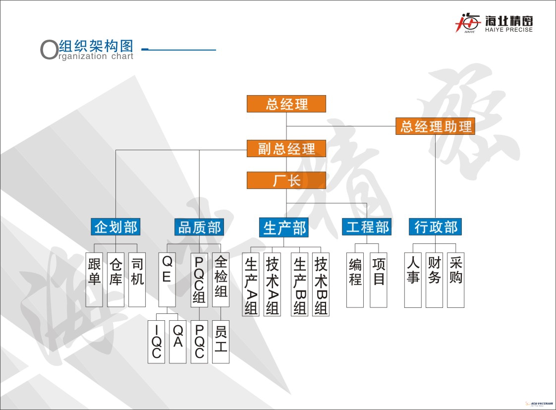 A diagram of a company's company Description automatically generated